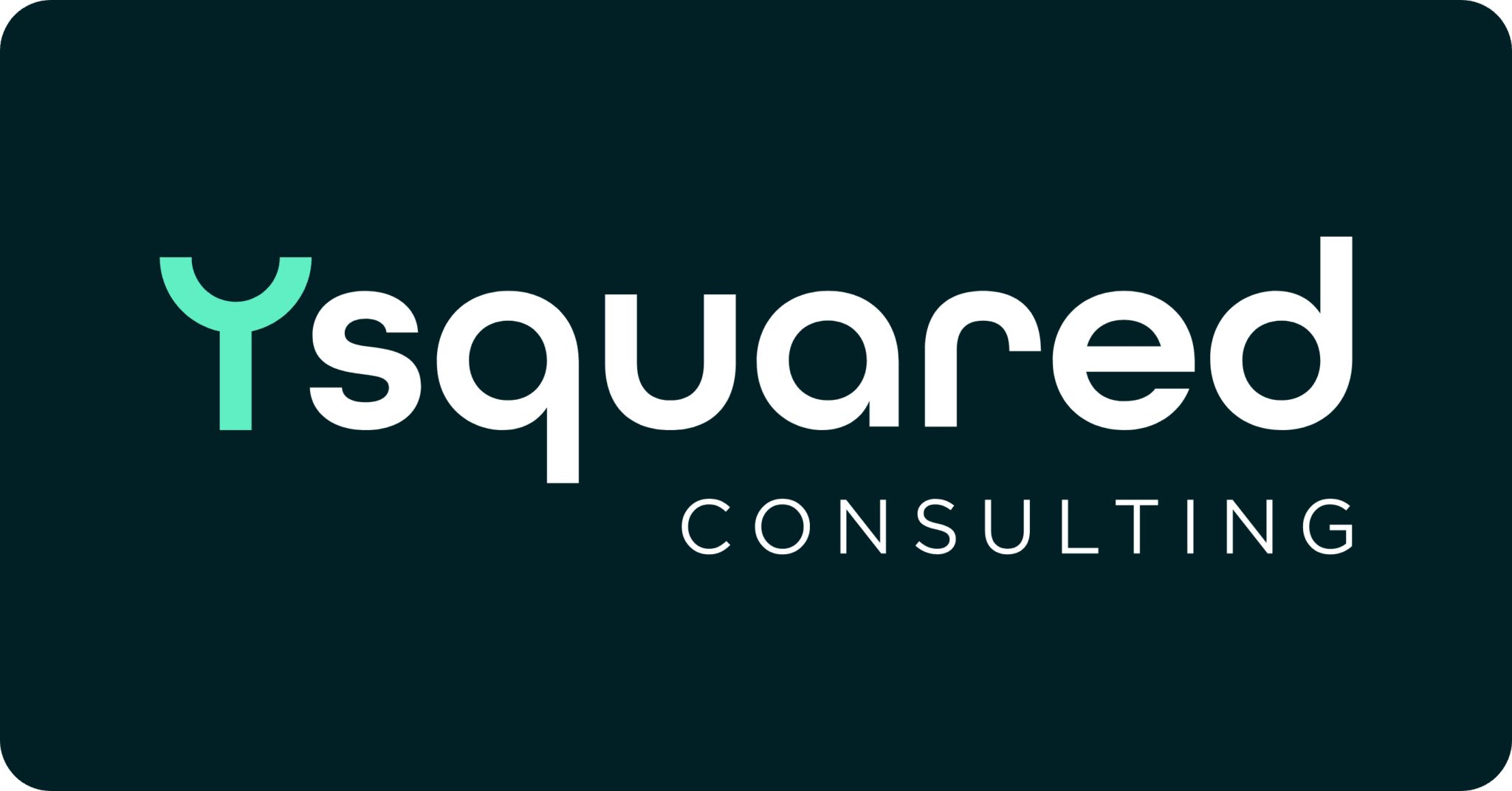 Y squared | Digital consulting thriving through its people
